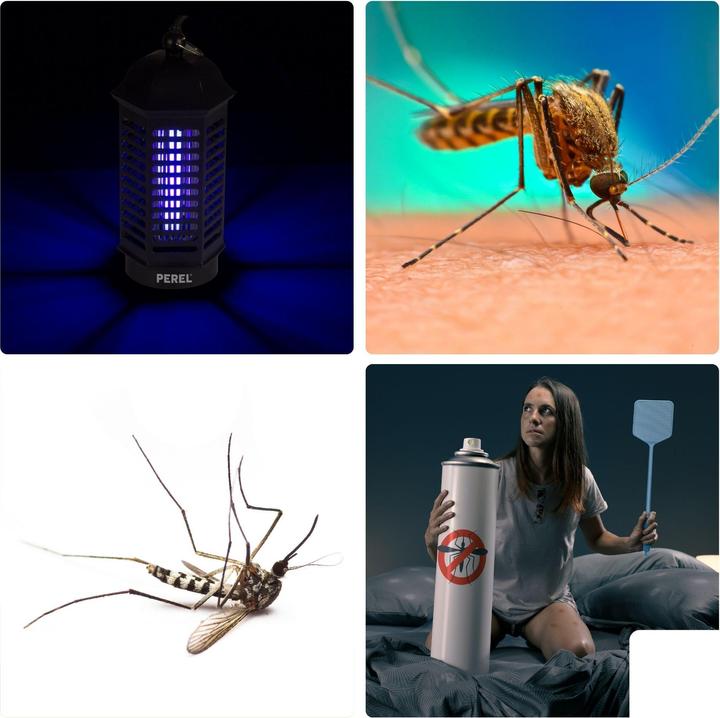 Actual product image Perel GIK06 flying insect killer 4W