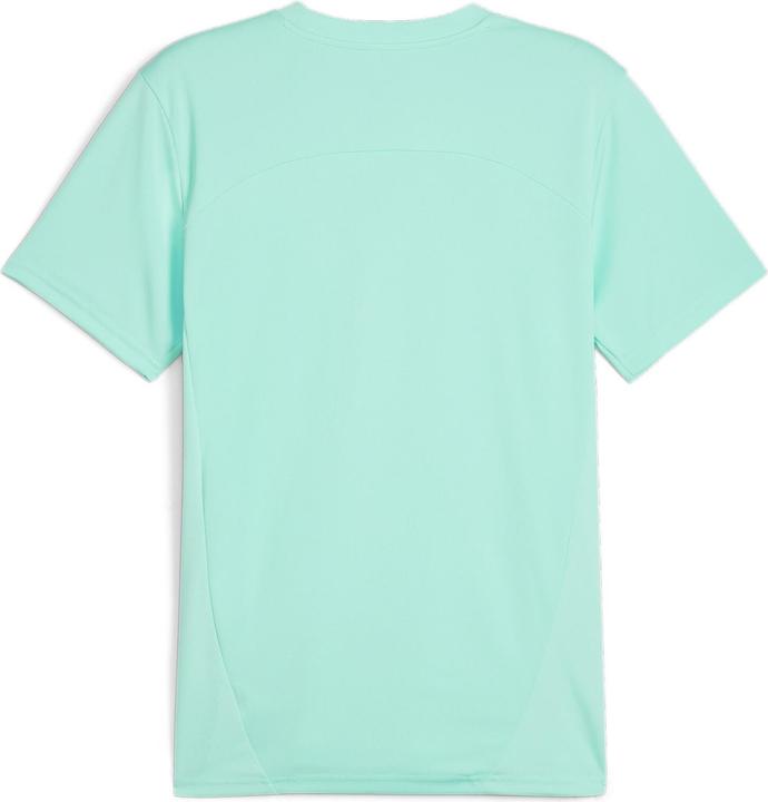 Actual product image Puma ÖFB Training (M)