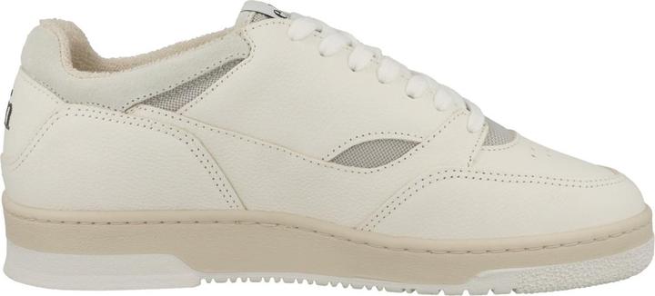 Image du produit ekn Yucca - 62955 (42)