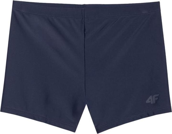 4F Herren-Badeshorts (L)
