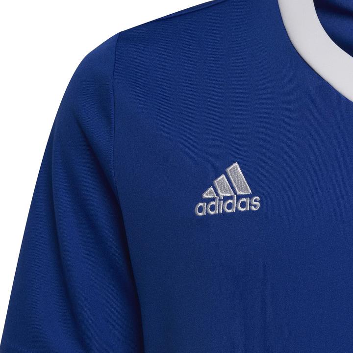 Produktbild adidas Entrada 22 Trikot (164)