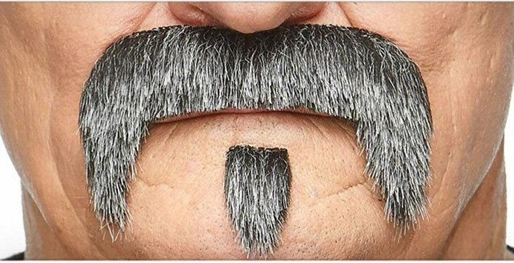 Actual product image Metamorph The Zappa Bart