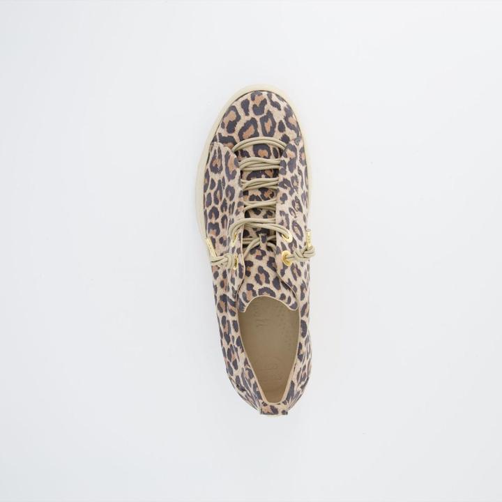 Image du produit Paul Green Baskets (37)