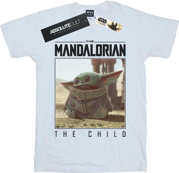 Star Wars - T-shirt THE MANDALORIAN THE CHILD FRAME - Homme (3XL)