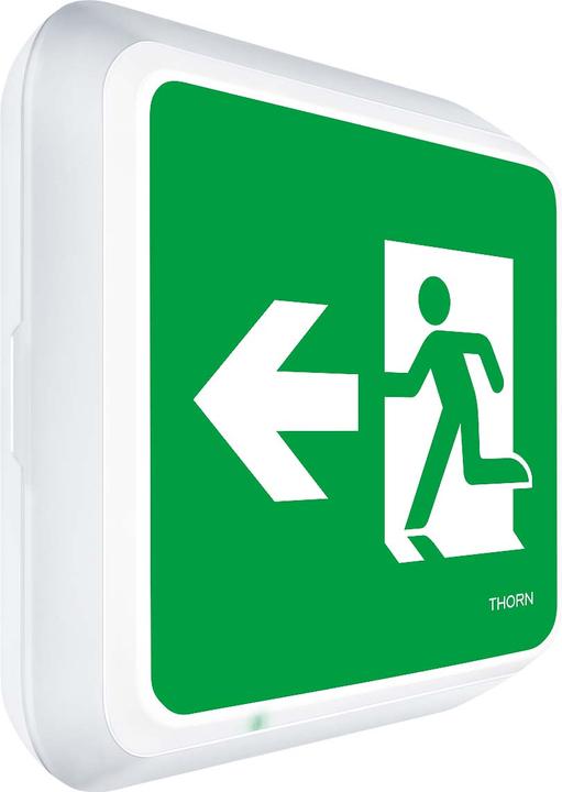 Actual product image Thorn Escape sign luminaire 96635067