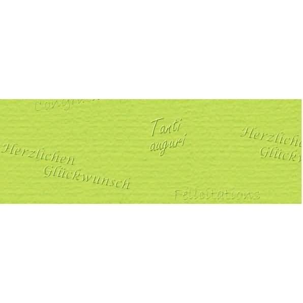 Ursus, Bastelpapier, Prägekarton Elegance 220g/qm 23x32cm VE=5 Blatt Glückwünsche hellgrün (220 g/m², 5 x)
