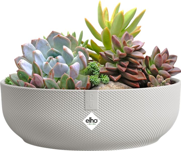 Produktbild Elho Jazz Bowl (28 x 9 cm)