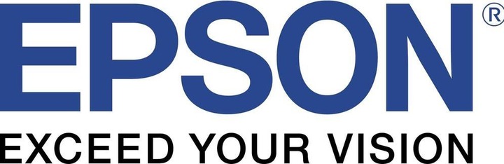 Actual product image Epson T5966 Vivid (LM)
