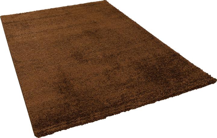 Produktbild Pergamon Hochflor Langflor Teppich Aloha (120 x 170 cm)