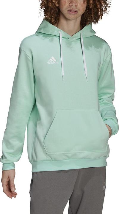 Actual product image adidas Vyriška sweatshirt Entrada 22 Hoody mint HC5081 (S) (S)