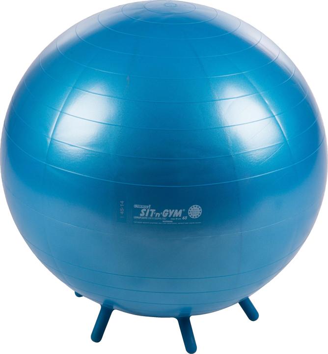 Ledraplastic Sit ball Sit 'n' Gym (65 cm)