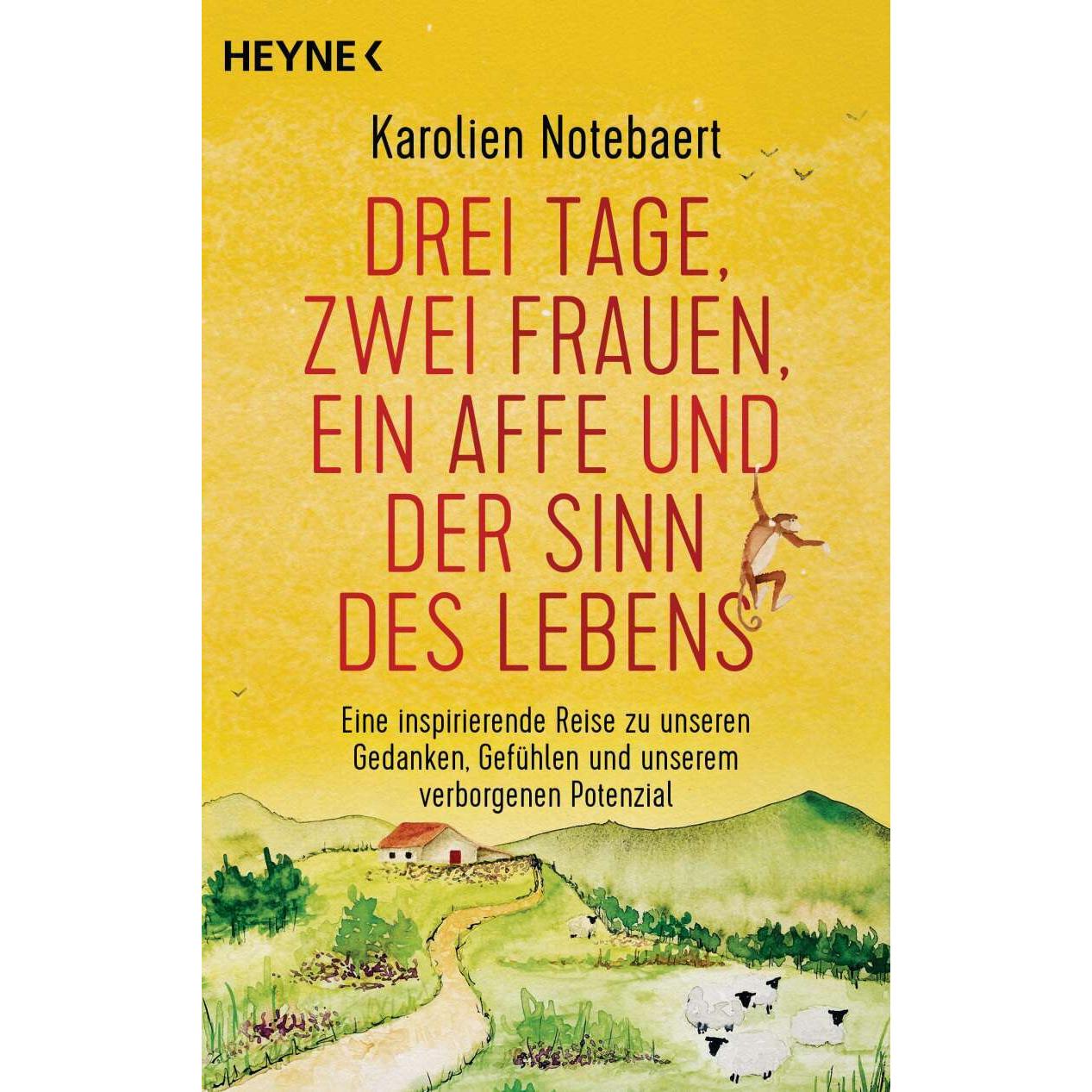 Drei Tage, zwei Frauen, ein Affe und der Sinn des Lebens, Belletristik von Karolien Notebaert