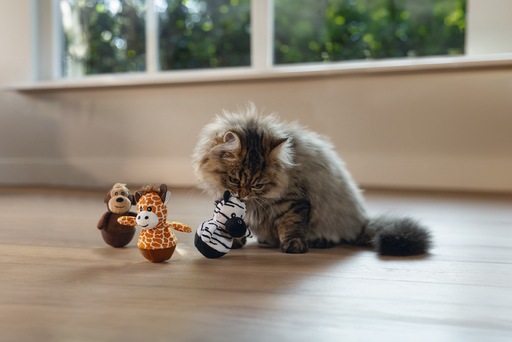 Productafbeelding Beeztees Dschungel Wobbler (Pluche speelgoed kat)