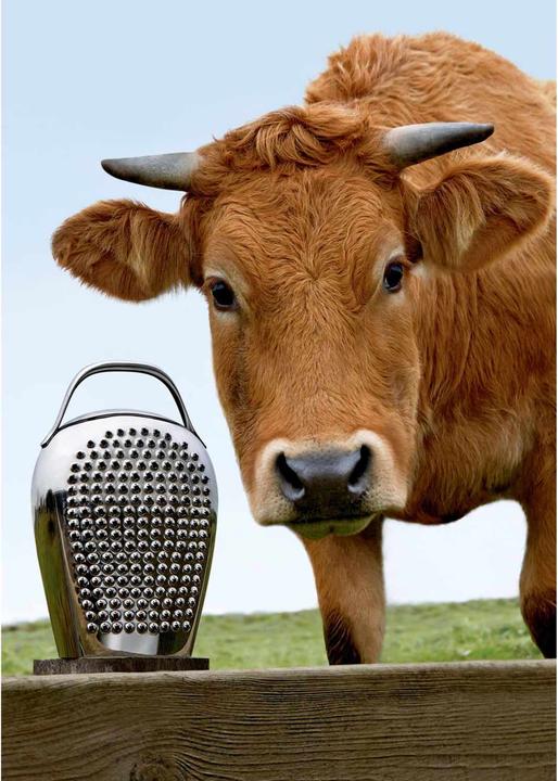 Image du produit Alessi Fromage, s'il vous plaît