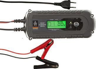 Actual product image Auto Welle PROSTOWNIK ELEKTRONICZNY 12V 160A/h (12V, 8 A)