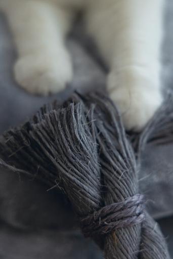 Image du produit Beeztees Arbre à chat Bz Tura (100 cm, Grey)