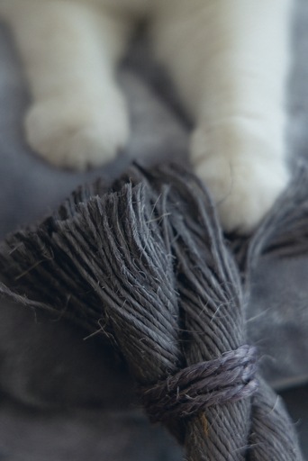 Actual product image Beeztees Bz cat tree Tura (100 cm, Grey)