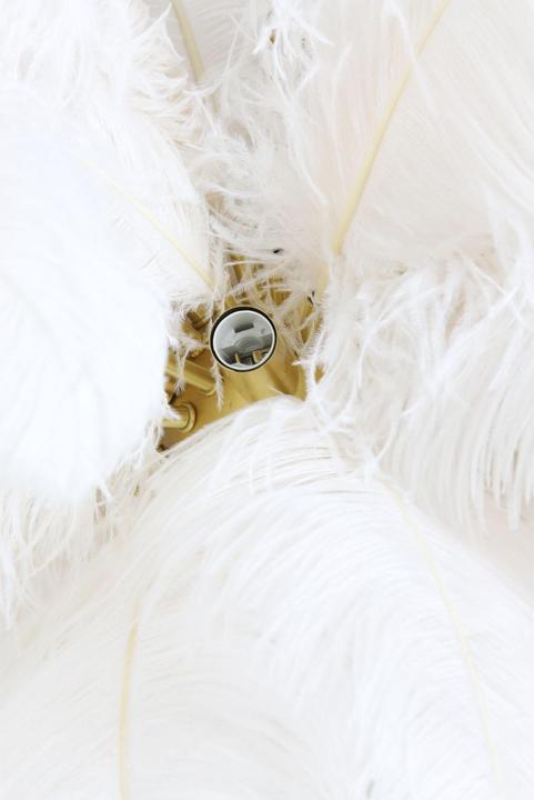 Actual product image Light & Living Feather