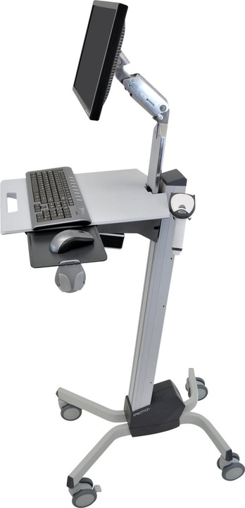 Actual product image Ergotron Neo-Flex (Ground, 22")