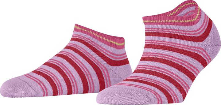 Shell Pink