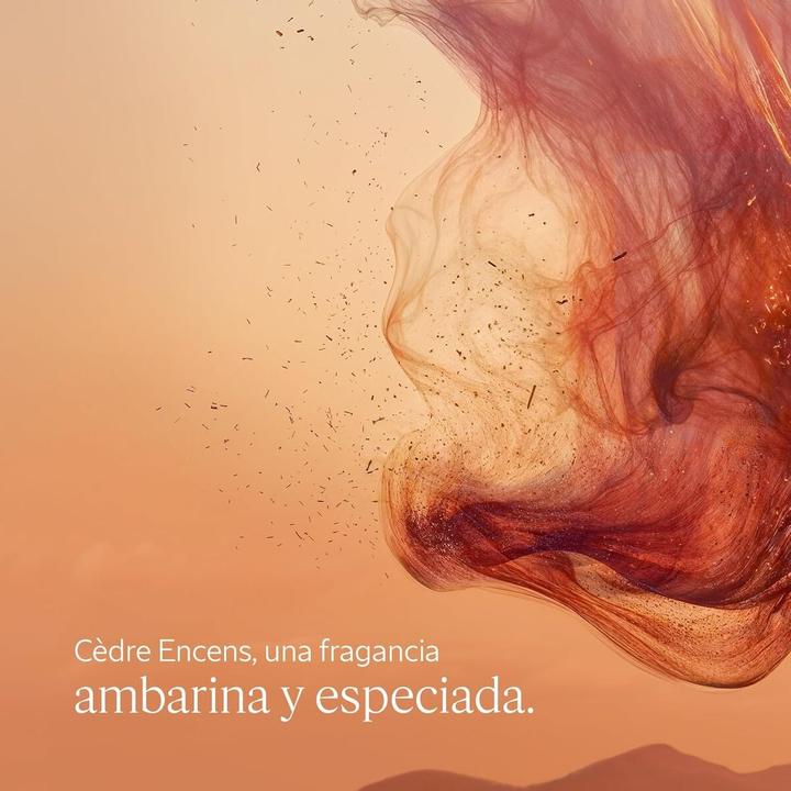 Produktbild L'Occitane Cèdre Encens (Stick, 70 g)