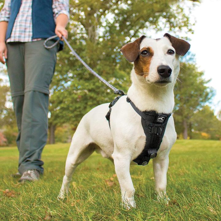 Immagine prodotto Kurgo Tru-Fit Smart Harness (S, Cane, Generale, Jogging, Passeggiare, Sport cane)