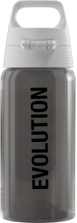 Actual product image Sigg Viva One (0.50 l)