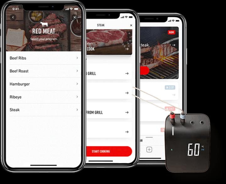 Actual product image Weber Connect Smart