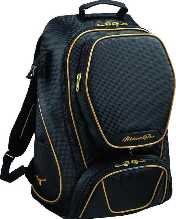 Produktbild Mizuno Pro