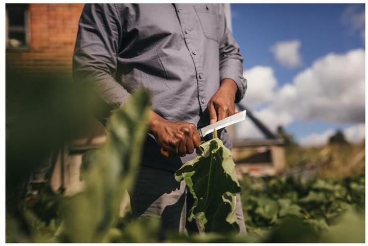 Actual product image Fiskars Xseries K82 Harvester