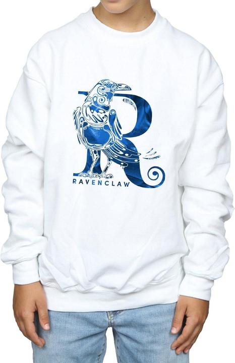 Produktbild Ravenclaw Raven Sweatshirt Jungen (152, 158)