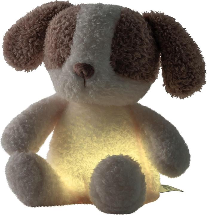 Produktbild Nattou Teddy Mini Hund