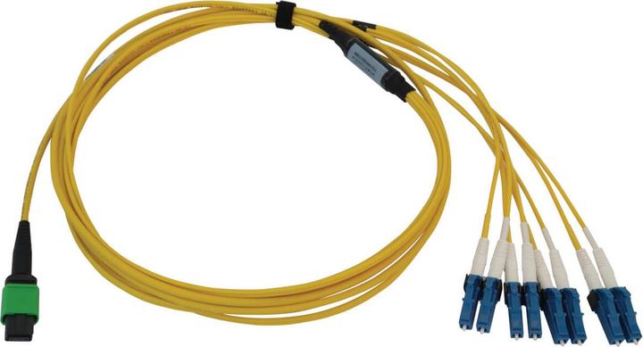 Actual product image Eaton 400G Singlemode 9/125 OS2 Switchable Fibre Optic Cable 12F MTP/MPO-APC to 4x Duplex (2 m)