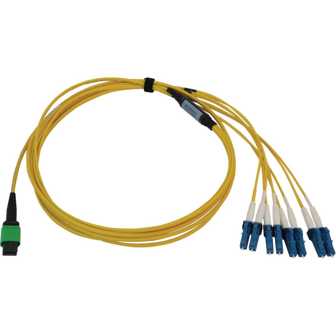 Eaton 400G Singlemode 9/125 OS2 Switchable Fiber Optic Cable 12F MTP ...