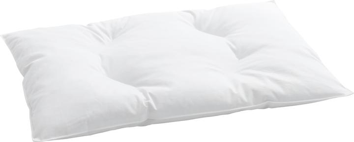 Billerbeck Martina (40 x 60 cm)