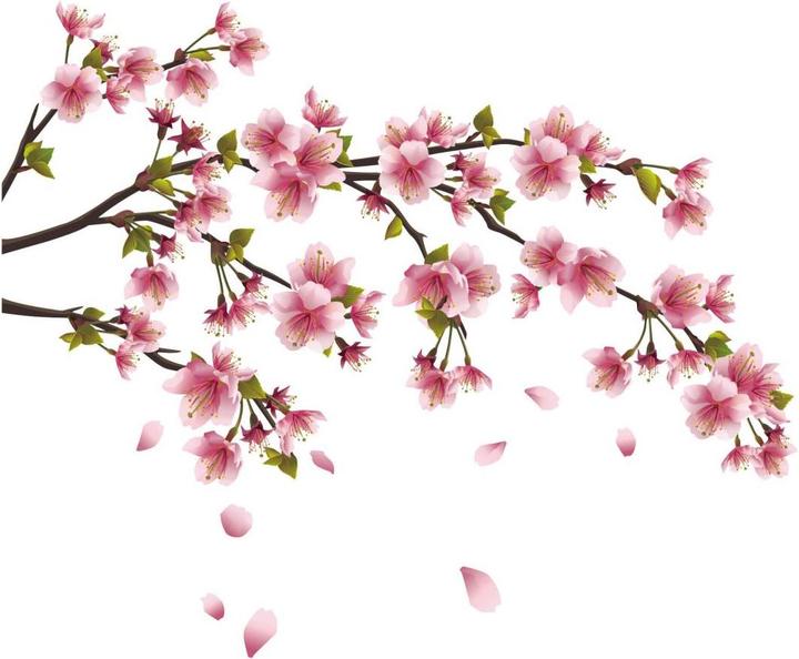 Actual product image Trenddeko cherry blossom branch (200 x 93 cm)