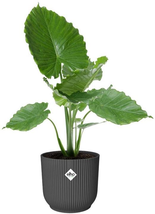 Actual product image Elho Blumentopf Vibes Fold Rund 30 cm Schwarz (30 x 27 cm)