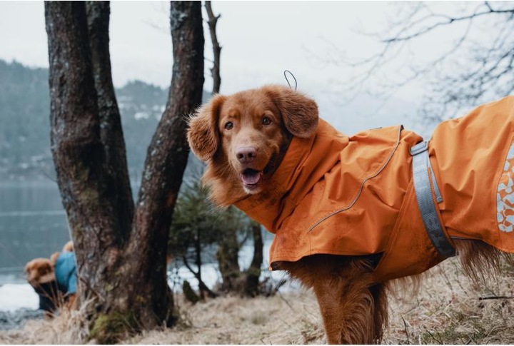 Immagine prodotto Hurtta Monsoon impermeabile arancione