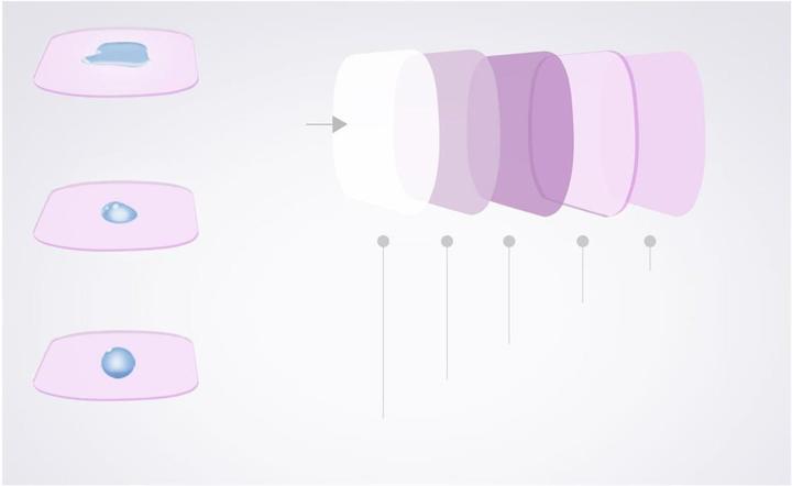 Produktbild Pgytech ND-PL for Osmo Pocket