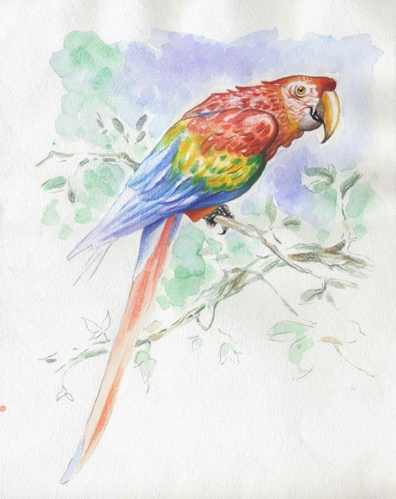 Actual product image Clairefontaine Moist techniques (300 g/m², 1x)