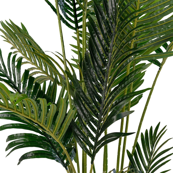 Produktbild House Nordic Areca (175 cm)