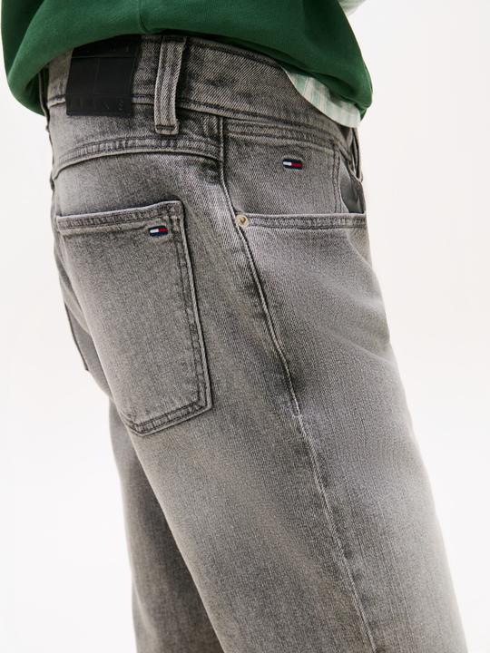 Image du produit Tommy Jeans Ronnie Shorts (36)