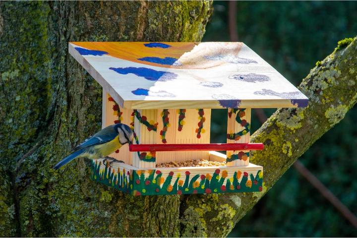 Immagine prodotto Dobar Alimentatore per uccelli Kit con colori 22,5 x 18 x 16 cm