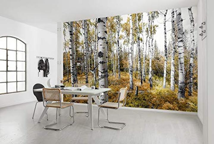 Komar Non-woven Colourful Aspenwoods 9-panel wallpaper 450 x 280 cm (450 x 280 cm)