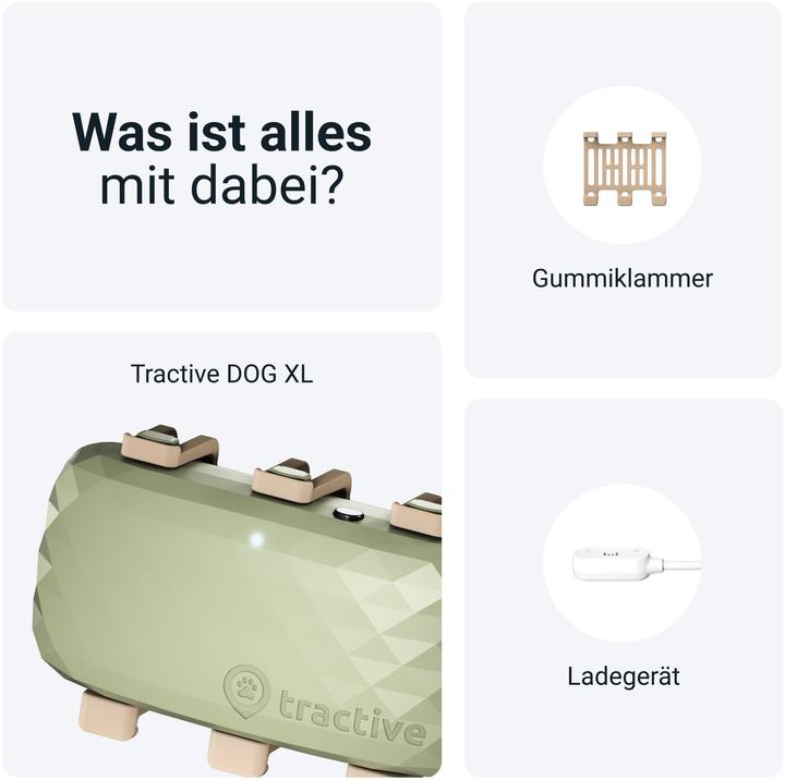 Produktbild Tractive DOG XL GPS Tracker für Hunde (Hund, Allgemein)