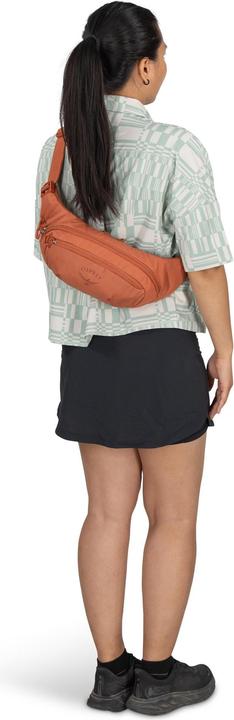 Actual product image Osprey Daylite Waist Gürteltasche 45 cm
