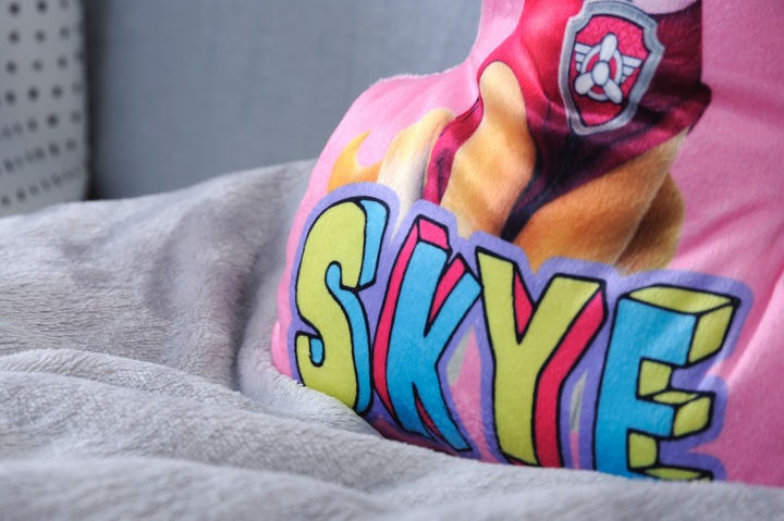 Actual product image Herding Paw Patrol Moulded Cushion (Skye) (5 x 25 x 34 cm)