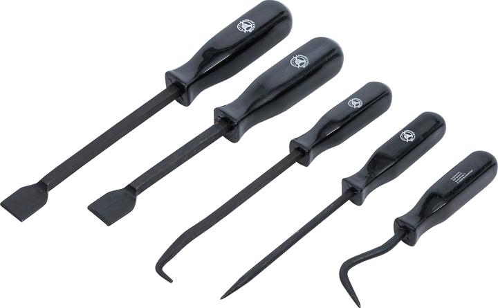 Actual product image BGS Scraper and Hook Set 5 pcs.