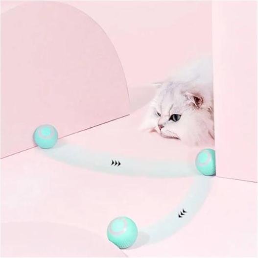 Actual product image PetGravity Smart Rotating Ball Blue (Catmint toy)