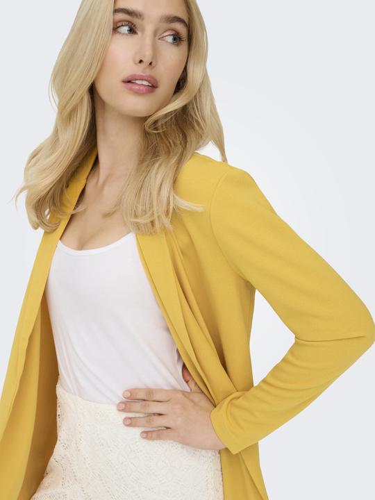 Immagine prodotto JdY JDYGEGGO Blazer Blazer (XS)